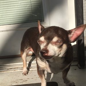 Meet your Posher, Armand